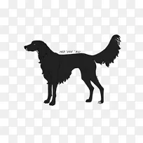 犬种图案设计师标志澳大利亚海狗-家禽屠宰场