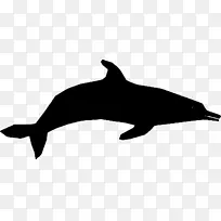 海豚电脑图标剪贴画-海豚剪贴画