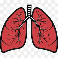肺夹艺术-肺外科