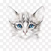 猫无版税绘画艺术画猫