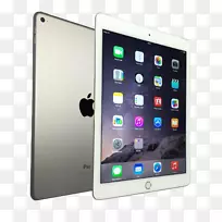 iPad Air 2 iPad迷你iPad 2-iPad银色
