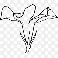 剪贴画-花纹