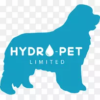 狗标志重塑犬水疗品牌.水疗