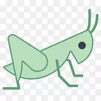 昆虫电脑图标蟋蟀夹艺术懒蚱蜢
