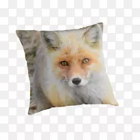 红狐毛嘴野生动物-狐狸材料