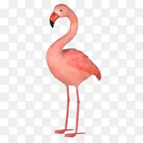 塑料火烈鸟室内设计服务艺术-粉红色火烈鸟
