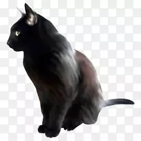 黑猫孟买猫内白龙小猫剪贴画-小猫