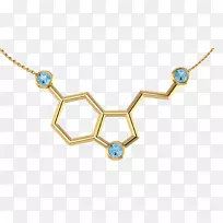 5-羟色胺项链分子魅力和耳环-银项链