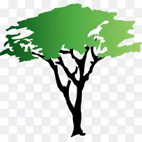 Wattles树剪贴画-红树林动画