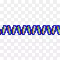 双螺旋：dna核酸结构发现的个人记述