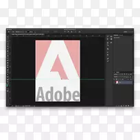 Adobe Lighttroom adobe照相机原始摄影.Photoshop