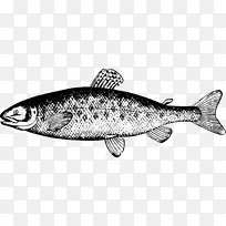 鱼夹艺术-鱼