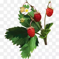 草莓食品水果-草莓