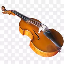 弦乐器，低音音符，中提琴.乐器