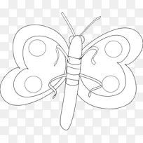 蝴蝶翼线艺术昆虫素描-蝴蝶