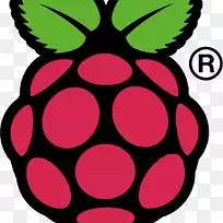 raspberry pi 3 raspbian计算机-rasberry