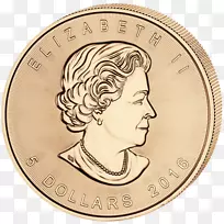金币加拿大银枫叶硬币