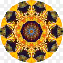 电脑图标.空心曼陀罗