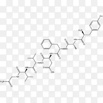 白点激素分泌