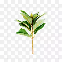 人工花芽叶玉兰绿叶盆栽扣PNG