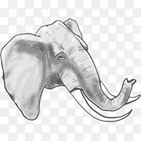 非洲象剪贴画-大象