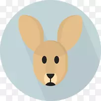 家养兔狗瑜伽狐