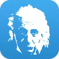 爱因斯坦的相对论：狭义和广义理论-爱因斯坦头发