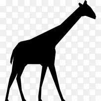长颈鹿剪影电脑图标-长颈鹿
