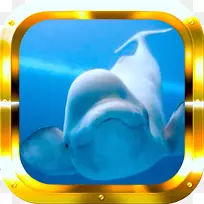 北极白鲸夏德水族馆