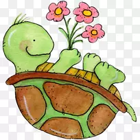 海龟画夹艺术-海龟