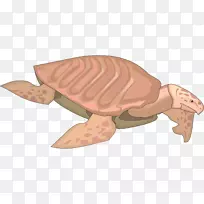 海龟爬行动物-咖啡海报图片素材