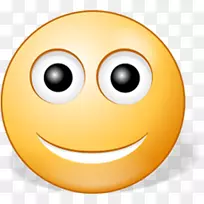 表情电脑图标微笑眨眼-微笑