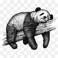 大熊猫素描免版税素描