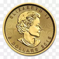 加拿大金枫叶金币PNG