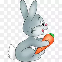 兔子复活节兔子兔剪贴画-兔子