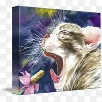 猫须猫老鼠-KTV海报