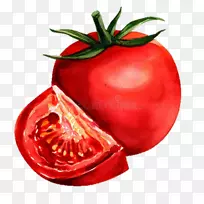 水彩画番茄画