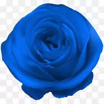 花园玫瑰蓝色手提包优雅蓝色