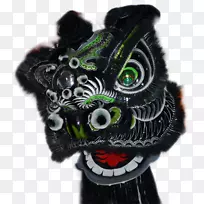 洪家菜李福功夫正畸头鼻怀旧狮头