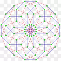 边超立方体多角形规则多边形-何首乌