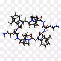 Gramicidin的非核糖体肽生物合成-油分子