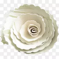 花园玫瑰，纸花夹艺术.花形饼干