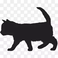 小猫黑猫胡须家养短毛猫剪影黑猫攻击