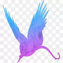喙羽紫翅若虫