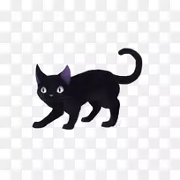 黑猫孟买猫科拉特猫家养短毛猫