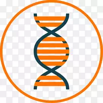 科学基因剪辑艺术-科学