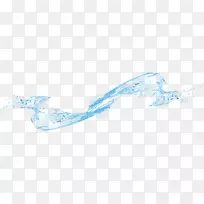 绘制水动物/m/02csf线-水