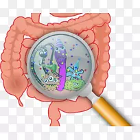肠道菌群胃肠道健康微生物漏肠综合征.细菌和病毒详细图