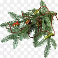 新年树圣诞树装饰冷杉枝条图片