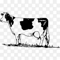 荷斯坦、弗里西亚牛、威尔士牛、白牛、公园牛、泽西牛、剪贴画